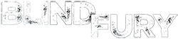 Blind Fury